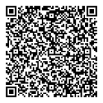 driveluks vcard qr